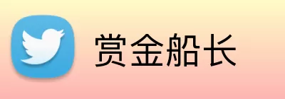 赏金船长 Logo